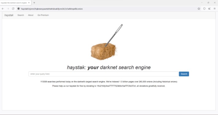the dark web url