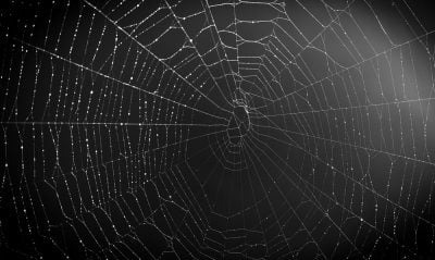 dark web sites 2024