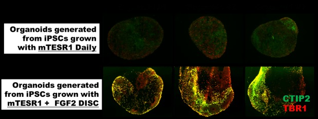 darknet market controlled delivery