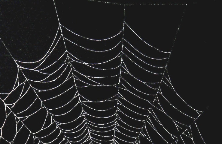 dark web drug market 2024