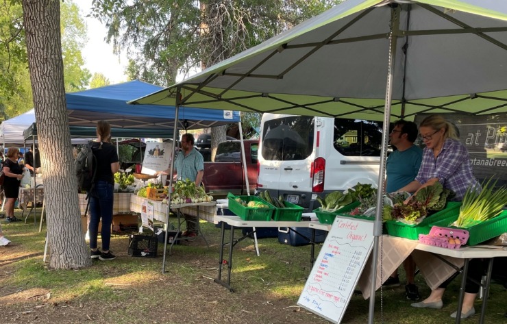 darknet market vendors search