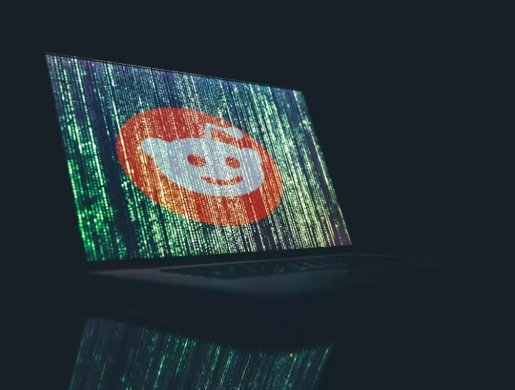 how to search the dark web reddit