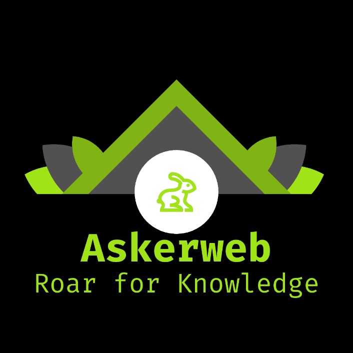 how to browse the dark web reddit