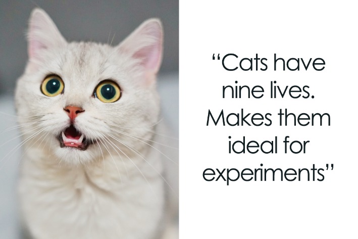 dark markets lithuania