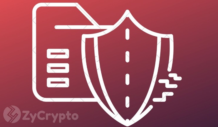 new darknet markets