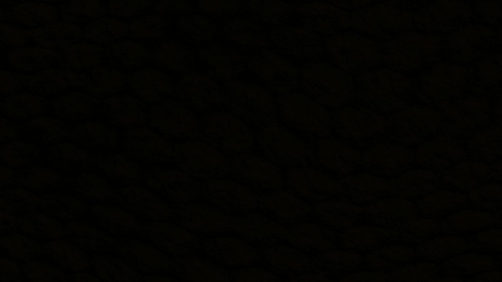 black market website legit