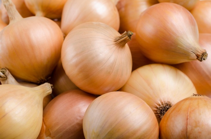 onion directory 2023