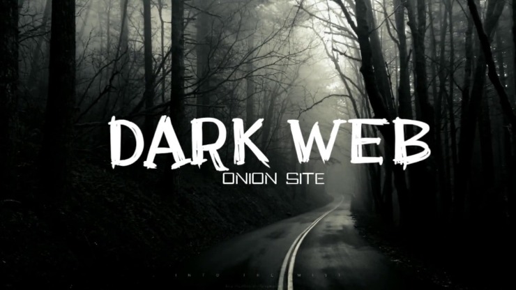 dark web markets 2024 reddit