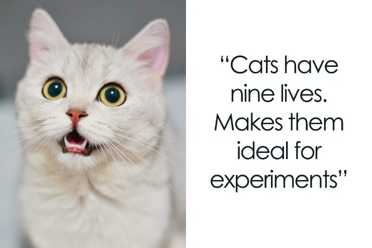 dark markets thailand