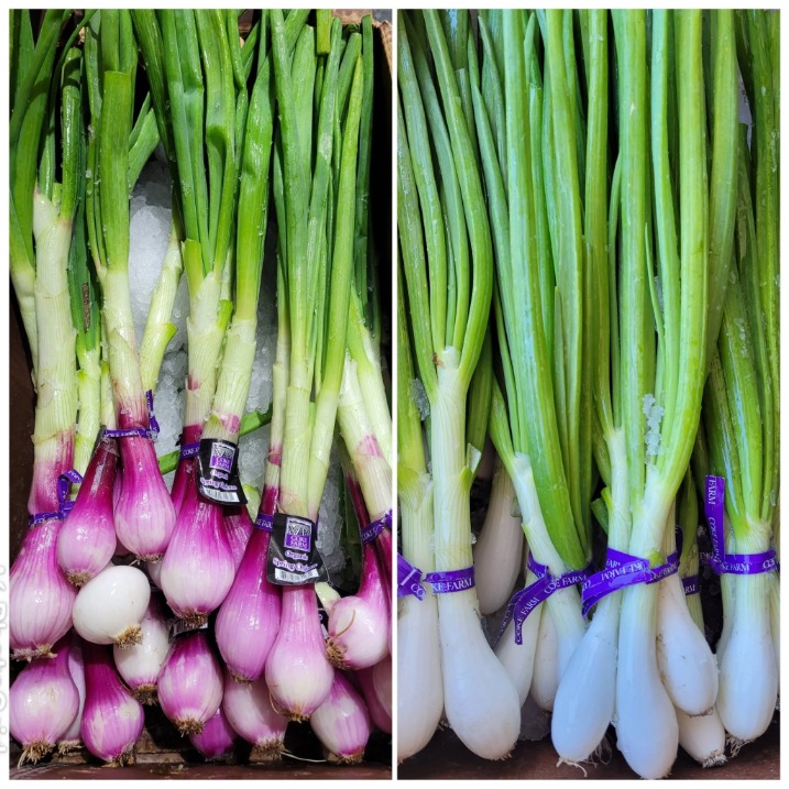 onion seiten 2023