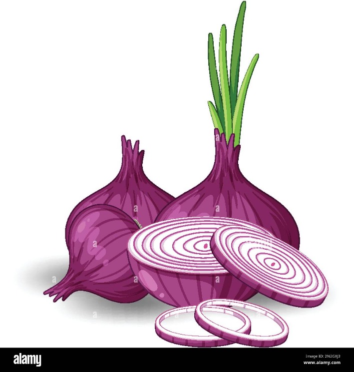 onion seiten 2023