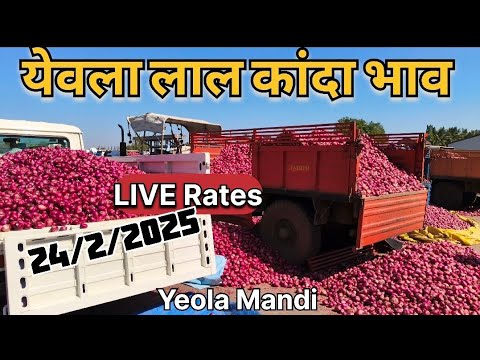 live onion market