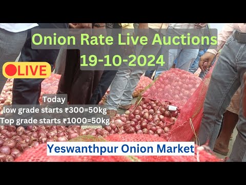 onion live links