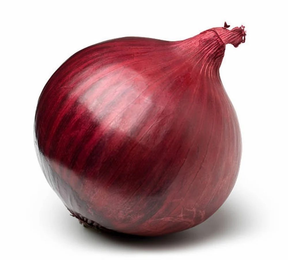 onion directory 2023