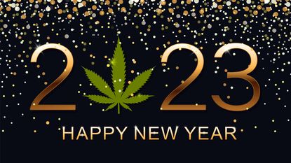 best darknet market for weed 2023