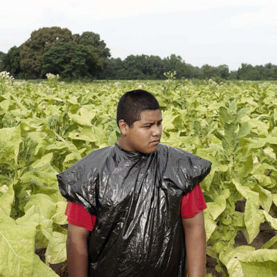 darknet markets with tobacco