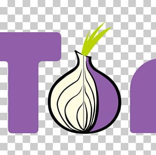 the dark web onion