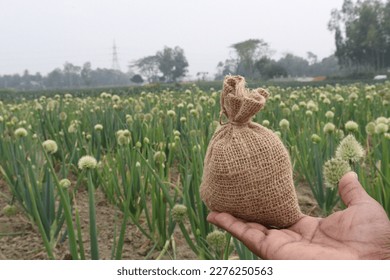 counterfeit money onion