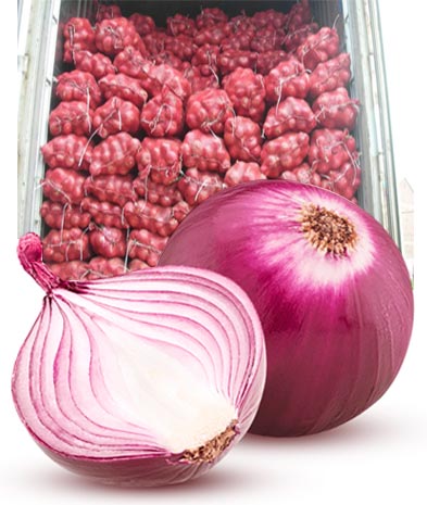market onion